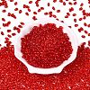Transparent Glass Beads GLAA-Q113-01A-A02-2