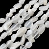 Natural White Moonstone Beads Strands G-P601-A18-02-2