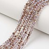 Electroplate Glass Beads Strands EGLA-A034-J10mm-N04-1