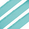 4.7 Yards Elastic Lace Ribbon OCOR-TA00003-96A-3