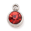 304 Stainless Steel Charms X-STAS-I165-04C-P-2