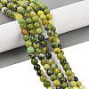 Natural Serpentine Beads Strands X-G-G829-06-4mm-2