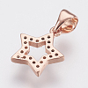 Brass Micro Pave Cubic Zirconia Charms ZIRC-F083-011RG-RS-2
