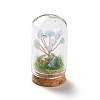 Natural Aquamarine Chips Money Tree in Dome Glass Bell Jars with Wood Base Display Decorations DJEW-K030-02I-1