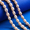 Natural Cultured Freshwater Pearl Beads Strands PEAR-N012-07G-5