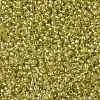 TOHO Round Seed Beads SEED-JPTR11-0295-2