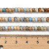 Dyed Natural Imperial Jasper Beads Strands G-P600-A01-01C-5