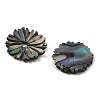Natural Paua Shell Carved Beads SSHEL-Z002-04-2