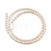 Natural Cultured Freshwater Pearl Beads Strands PEAR-I007-01O-01E-3