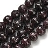 Natural Lepidolite/Purple Mica Stone Beads Strands G-H335-B03-10mm-A-2