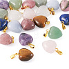 Fashewelry 20Pcs 10 Styles Natural Mixed Gemstone Pendants G-FW0001-39-4