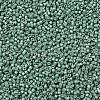 MIYUKI Delica Beads SEED-MY11-DB1171-3