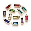 304 Stainless Steel Glass Charms STAS-N110-20G-1