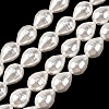 Electroplated Shell Pearl Beads Strands SH-CBA6AE6-01B-1