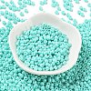 Baking Paint Glass Seed Beads SEED-H002-I-A525-2