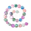 Natural Freshwater Shell Beads Strands SHEL-C003-02-2