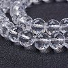 Glass Bead Strands EGLA-P027-A04-3