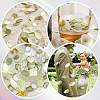 Polyester Artificial Rose Flower Petals AJEW-WH20067-107P-6