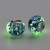 Handmade Luminous Lampwork European Beads LAMP-Q029-35B-3