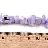 Natural Trochid Shell/Trochus Shell Beads Strands SHEL-B003-02F-4