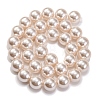 Baking Painted Pearlized Glass Pearl Round Bead Strands PEAR-H019-02E-02-2