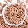 Baking Paint Glass Seed Beads X1-SEED-K010-A21-3