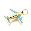 Brass Enamel Pendants KK-V011-24G-2