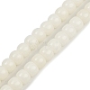 Natural Bodhi Root Beads Strand WOOD-B010-A02-6x8mm-2