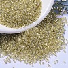 MIYUKI Delica Beads SEED-J020-DB1212-1