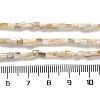 Natural Freshwater Shell Beads Strands SSHEL-B002-17-4