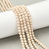 Natural Fossil Beads Strands G-K209-05D-4mm-1