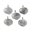 Natural Labradorite Pendants G-G956-D01-1