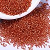 MIYUKI Delica Beads SEED-J020-DB2158-1