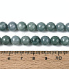 Natural Jadeite Beads Strands G-N353-07C-01-5