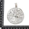 Tibetan Style Alloy Big Pendants PALLOY-V008-03C-AS-3
