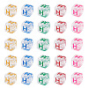 50Pcs Acrylic European Beads MACR-TADJ0001-13H-1