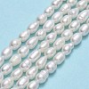 Natural Cultured Freshwater Pearl Beads Strands PEAR-J006-10E-01-2