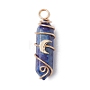 2Pcs 2 Styles Natural Lapis Lazuli Double Terminated Pointed Pendants PALLOY-JF03122-04-3