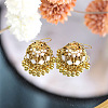 Bohemian Alloy Enamel Chandelier Earrings FS-WG337F9-05-2
