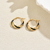 Twist Stainless Steel Hoop Earrings AW0162-3-1