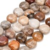 Natural Fossil Coral Beads Strands GG-CBA362F-02-2