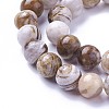Natural America Petrified Wood Beads Strands G-P430-08-C-3