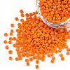 12/0 Opaque Colours Round Glass Seed Beads X-SEED-A010-2mm-50-1