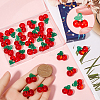 30Pcs Resin Imitation Fruit Pendants CRES-SC0002-94-3