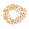 Natural Trochid Shell/Trochus Shell Beads Strands BSHE-T014-52A-02-2