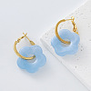 304 Stainless Steel Resin Hoop Dangle Earrings for Women QH5612-2-1