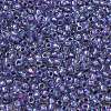 TOHO 6/0 Round Beads SEED-TR06-0265-3