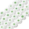 Handmade Millefiori Glass Flat Round Bead Strands LK-P011-23-1