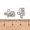 304 Stainless Steel Charms STAS-I367-10P-3