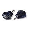 Natural Sodalite Pendants G-T138-208J-2